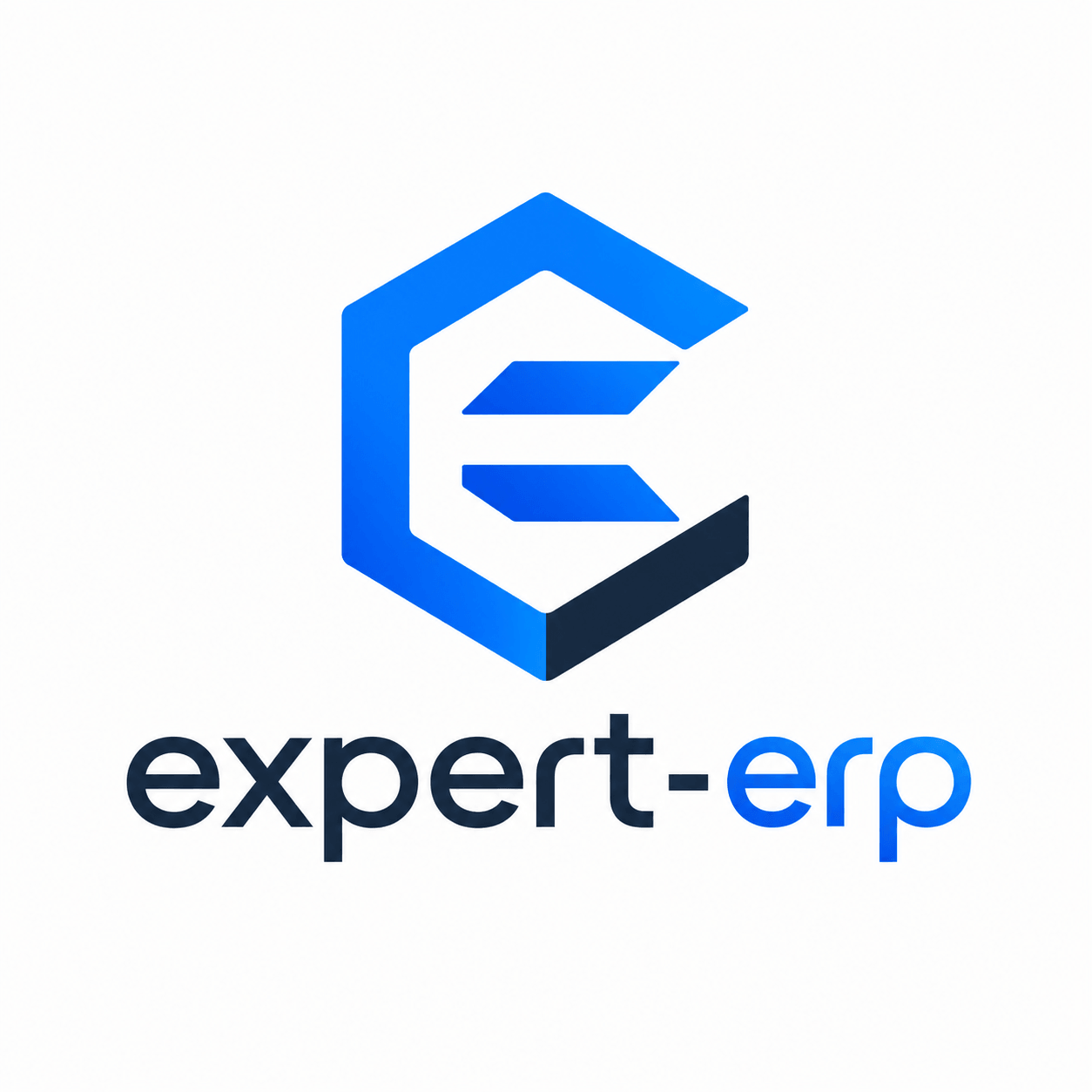 logo-expert-erp